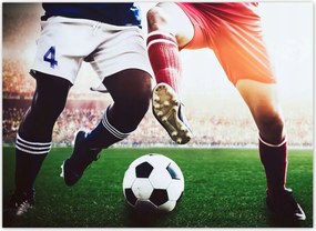 Fotótapéták 254x184 Labdarúgók Labdarúgás Foci Ág Dugók