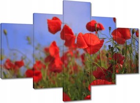 Vászonkép 100x70 Pipacsok az égbolt hátterében
