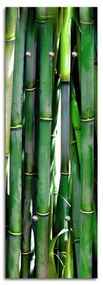 Gario Fali fogas Bambusz Méret: 30 x 90 cm