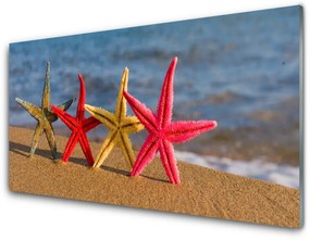 Üvegkép Starfish Beach Art 100x50 cm 2 fogas