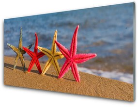 Üvegkép Starfish Beach Art 100x50 cm