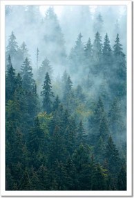Poszter fehér keretben 40x60 Erdő a ködben Utazás