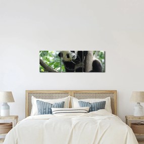 Kép - Panda a fán (órával) (90x30 cm)