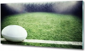 Fotó kép edzett üveg Labda a kapuban 125x50