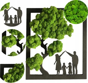 Kép Moha Család Bonsai Fa Moha Élő Kép Életfa