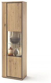 Campinas üveges tároló tölgy 60 x 209 cm