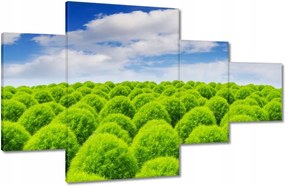 Vászonkép 130x80 Zöld tekintet Völgy