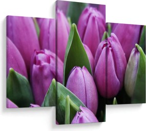 Kép - tulipánok (90x60 cm)