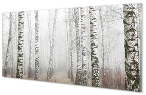 Akrilkép köd nyír 100x50 cm