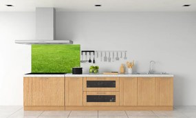 Konyhai dekorpanel Zöld fű pksh-141153462