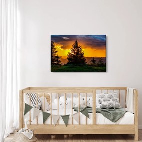Kép - tűlevelűek (90x60 cm)