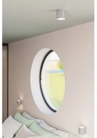 Mennyezeti lámpa INEZ 1xG9/40W/230V szürke