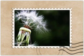 Poszterek 60x40 Pitypang Virág Virágok