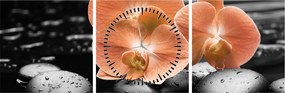 Kép - Narancssárga orchideák (órával) (90x30 cm)