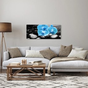 Kép - Kék orchidea (120x50 cm)
