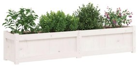 fehér tömör fenyő kerti virágláda 150 x 31 x 31 cm