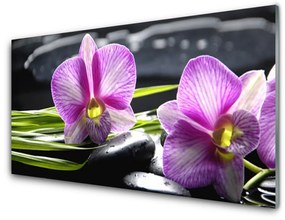 Akrilüveg fotó Orchid Zen Spa Stones 100x50 cm