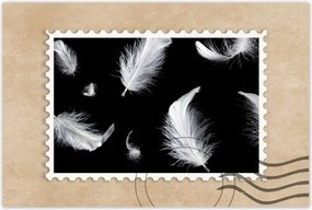 Poszterek 90x60 Fehér lelógó tollak