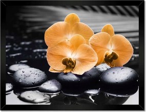 Poszter keretben 40x30 Narancssárga orchideák