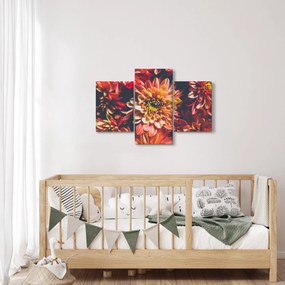 Kép - Krizantém (90x60 cm)