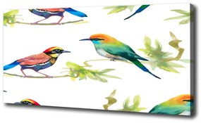 Vászonkép Egzotikus madarak oc-119482141