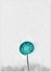 Poszterek 70x100 Türkiz remete