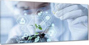 Festmények 210x100 Téma az iskola osztályához Biológia