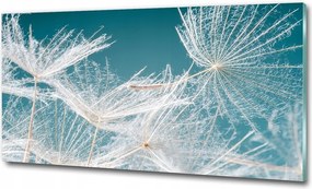 Fotótapéta falra edzett üveg Gerbera 100x70