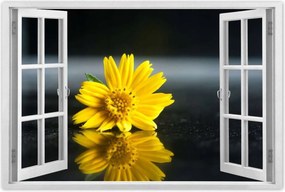 Poszter 60x40 Sárga virág