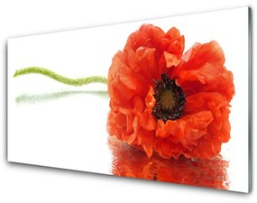 Akrilkép Virágok Természet 125x50 cm