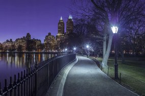 Poszter 86,4x56,8cm Central Park, Assaf Frank