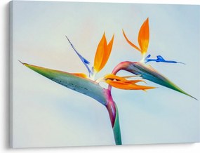 Virág képe (70x50 cm)