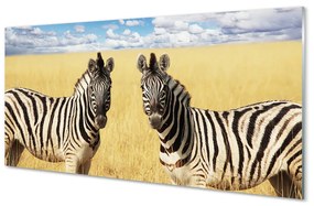 Akrilkép zebra box 100x50 cm 2 fogas