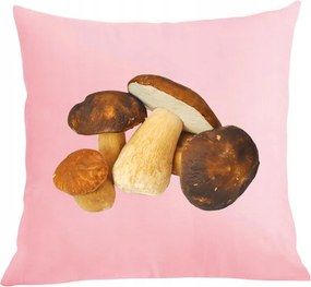 Párna+párnahuzat Ajándék gombászoknak