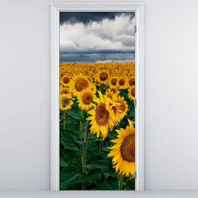Fotótapéta ajtóra - Napraforgó mező (95x205cm)