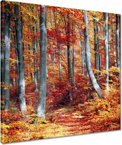 Vászonkép 60x60 Erdei táj Kilátás