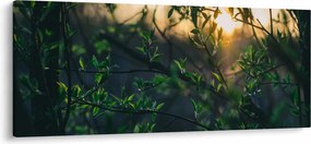 A ragyogó nap képe a fák gallyain keresztül (120x50 cm)
