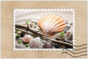 Poszterek 60x40 Kagylók a balti tengerpartról