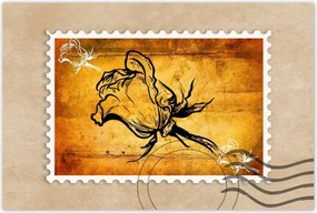 Poszterek 90x60 RĂłzsa