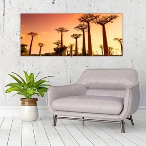 Kép - Naplemente a Baobab Alley-ben (120x50 cm)