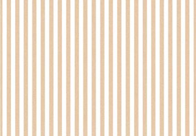 Parato Cristiana Masi Top Stripes Riga 1 fehér-okkersárga csíkos vlies tapéta – 38438