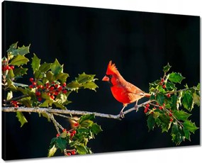 Vászonkép 70x50 Madarak