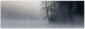 Poszterek 200x66 Ködös erdĆ TĂ©l