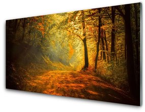 Akrilkép Forest Lane fák természet 100x50 cm 2 fogas