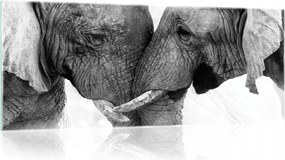 Üvegfestmény nagy 3D fehér elefántok 125x50