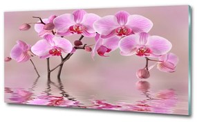 Egyedi üvegkép Rózsaszín orchidea osh-79883275