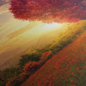 A szív alakú fa képe (90x60 cm)