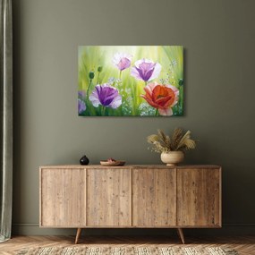 Kép - Pipacsok (90x60 cm)