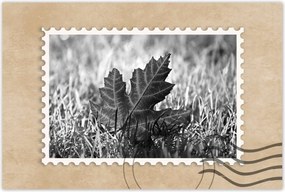 Poszterek 60x40 Őszi levél a fűben