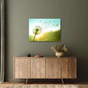 Kép - Pitypang a szélben (üvegen) (70x50 cm)